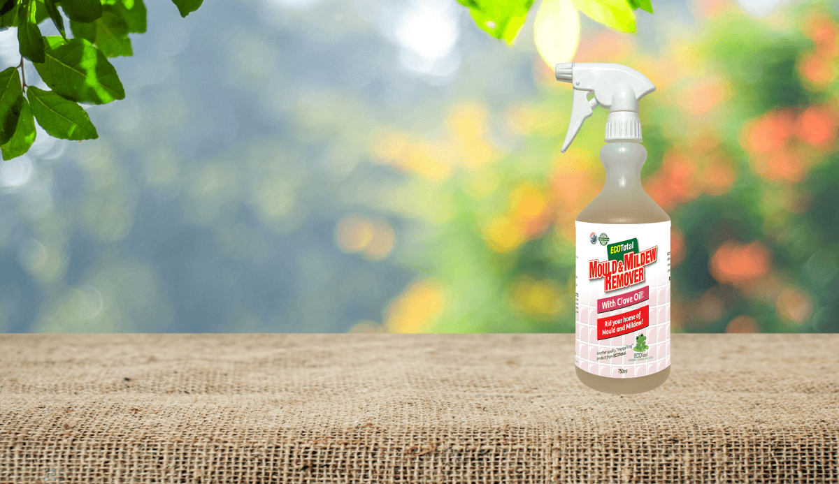 ecoblast_mould_and_mildew_remover_slide2