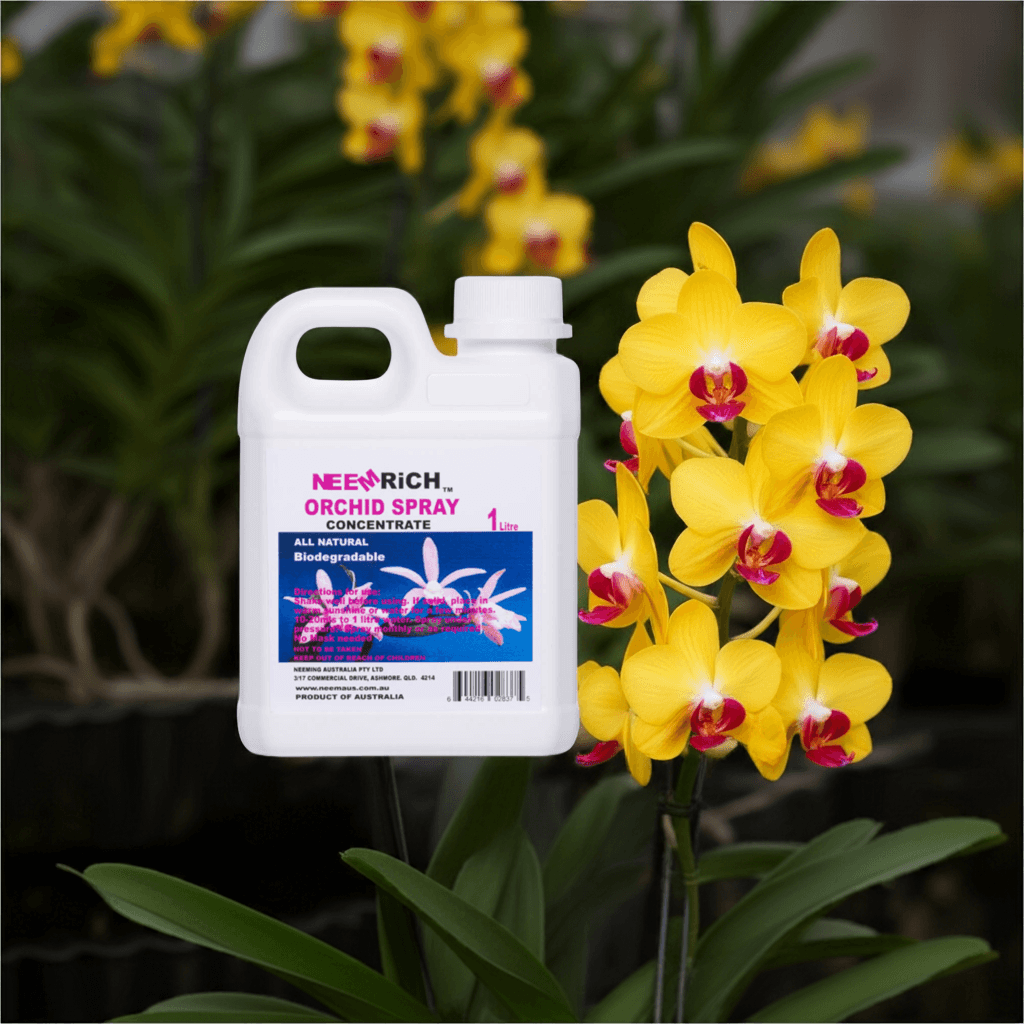 Orchid Plant Spray concentrate 1 Litre